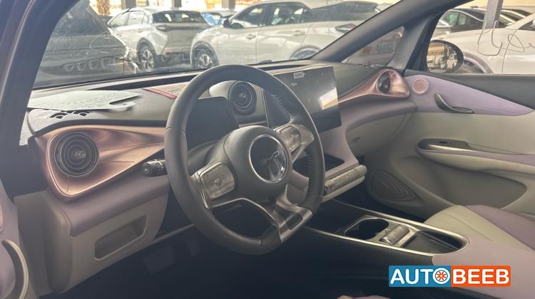 بي واي دي دولفين 2022