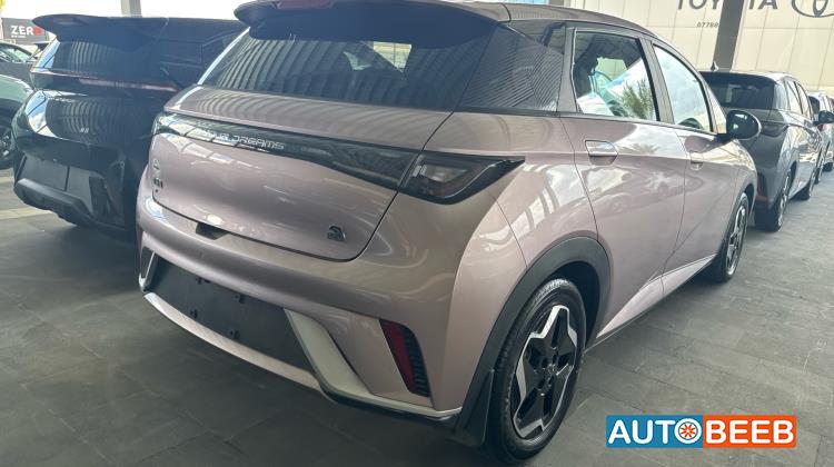 بي واي دي دولفين 2022