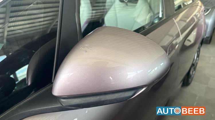 بي واي دي دولفين 2022