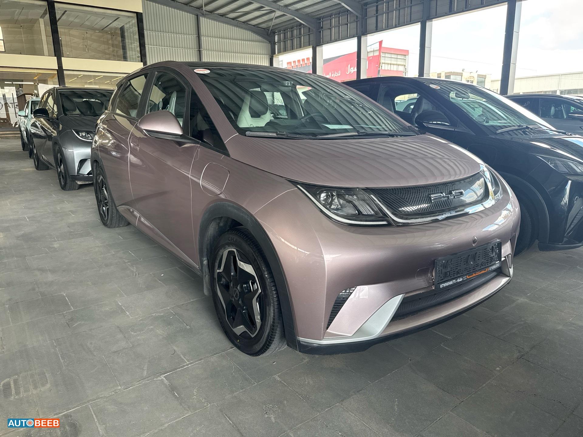 بي واي دي دولفين 2022