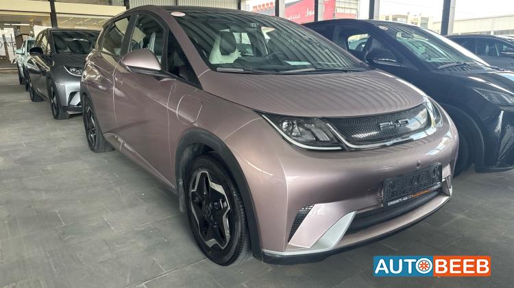 بي واي دي دولفين 2022