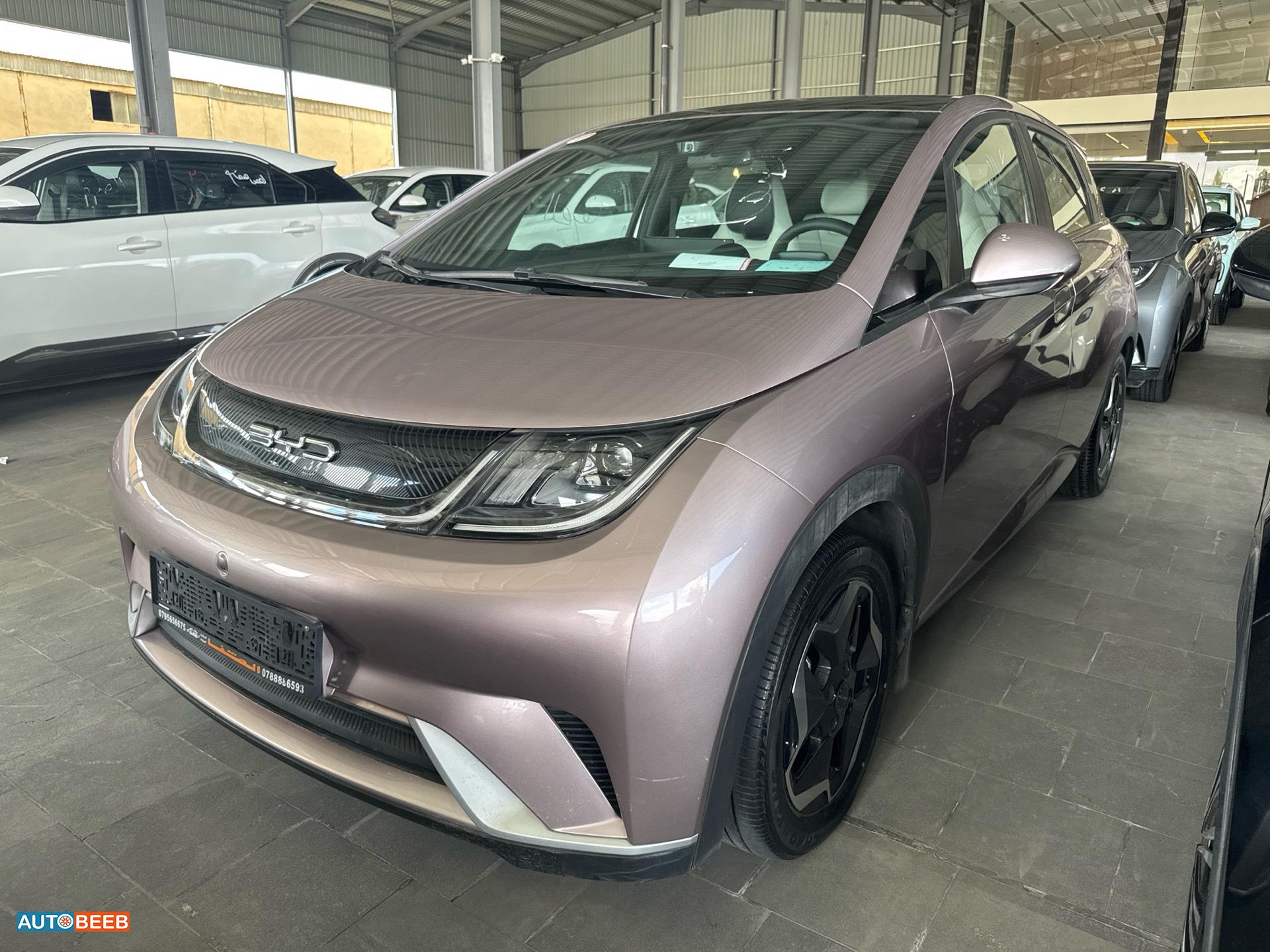 بي واي دي دولفين 2022