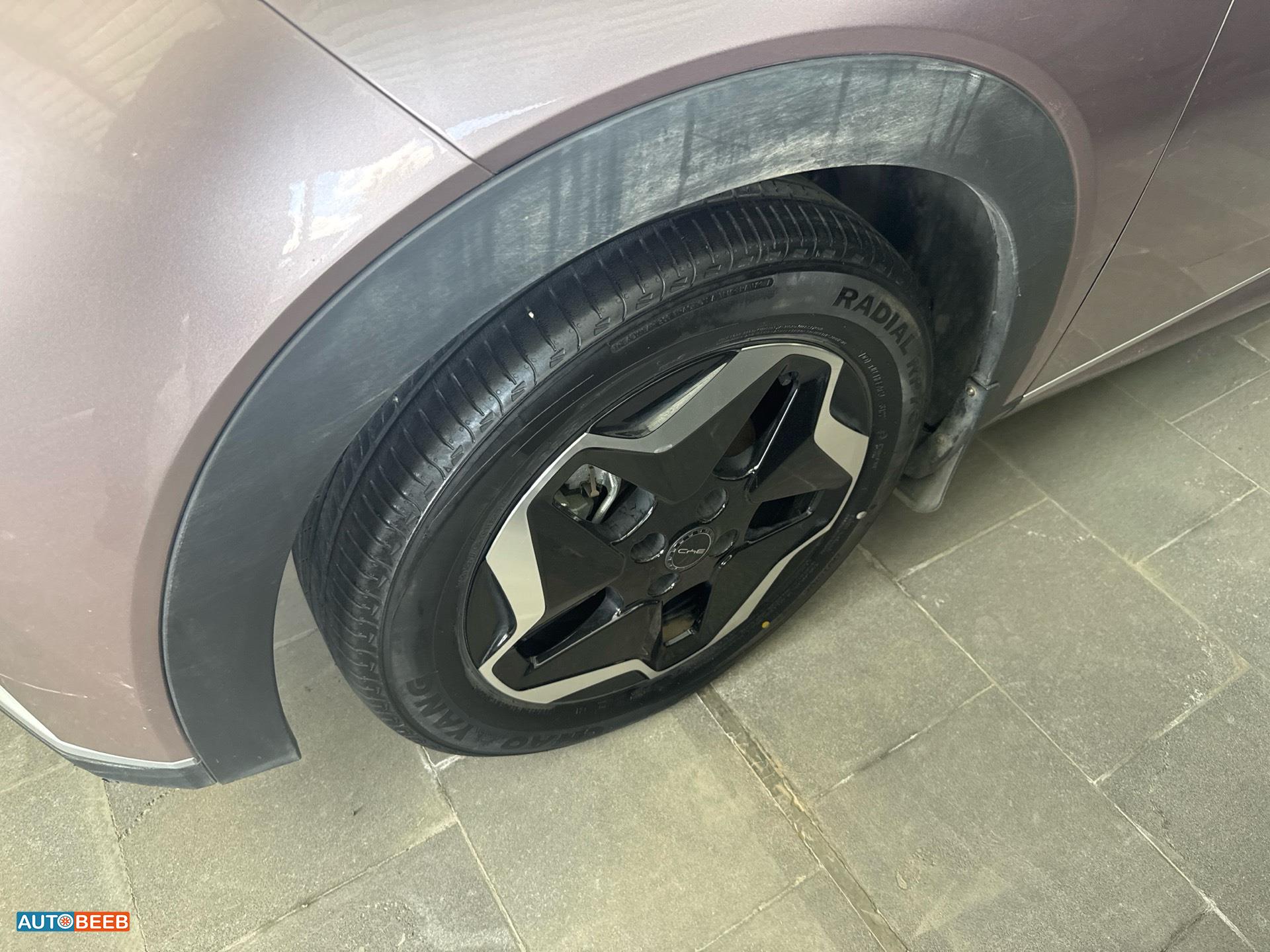 بي واي دي دولفين 2022