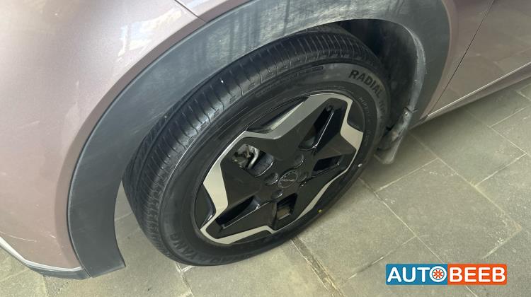 بي واي دي دولفين 2022