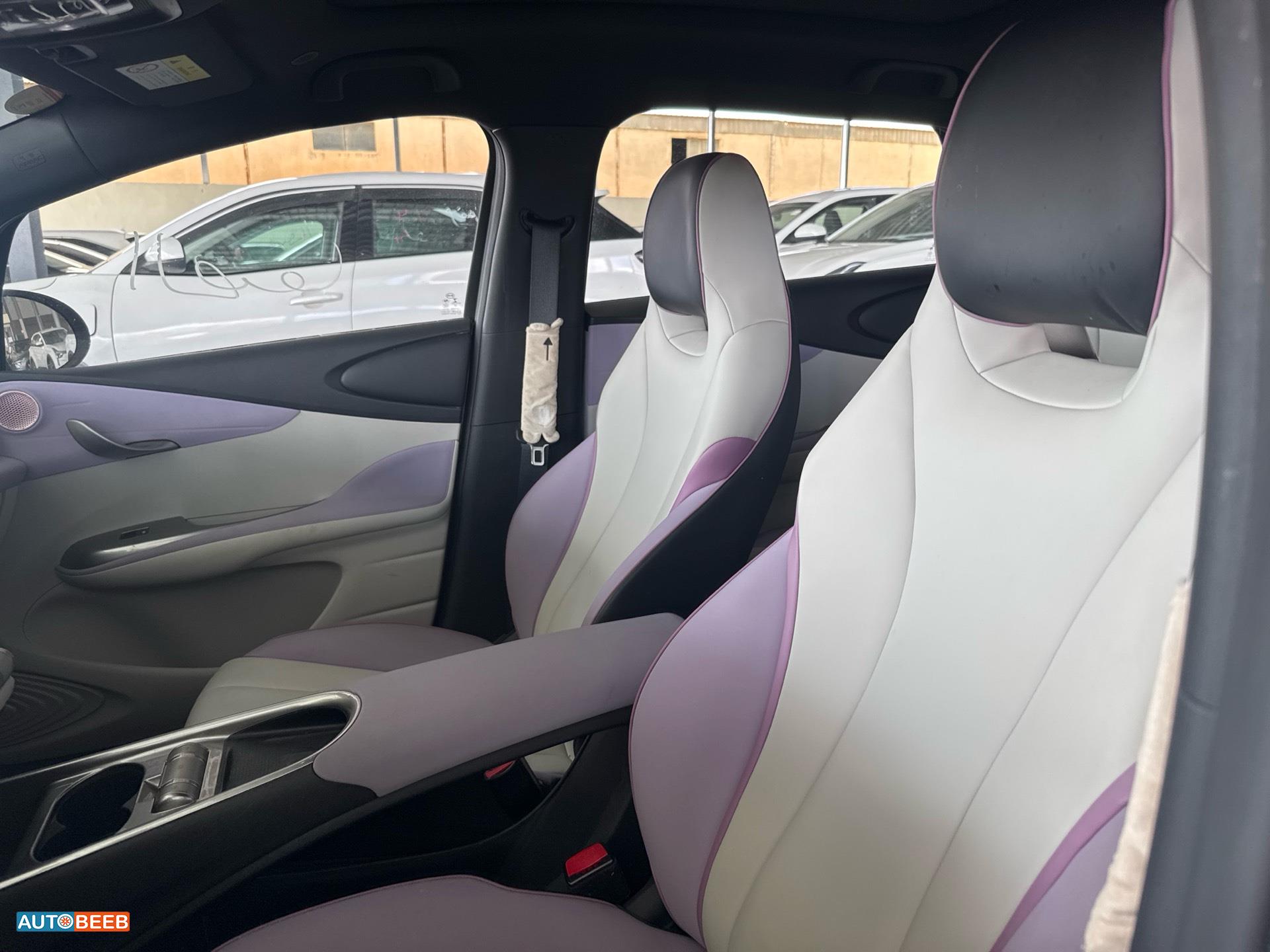 بي واي دي دولفين 2022