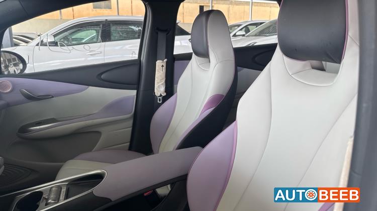 بي واي دي دولفين 2022