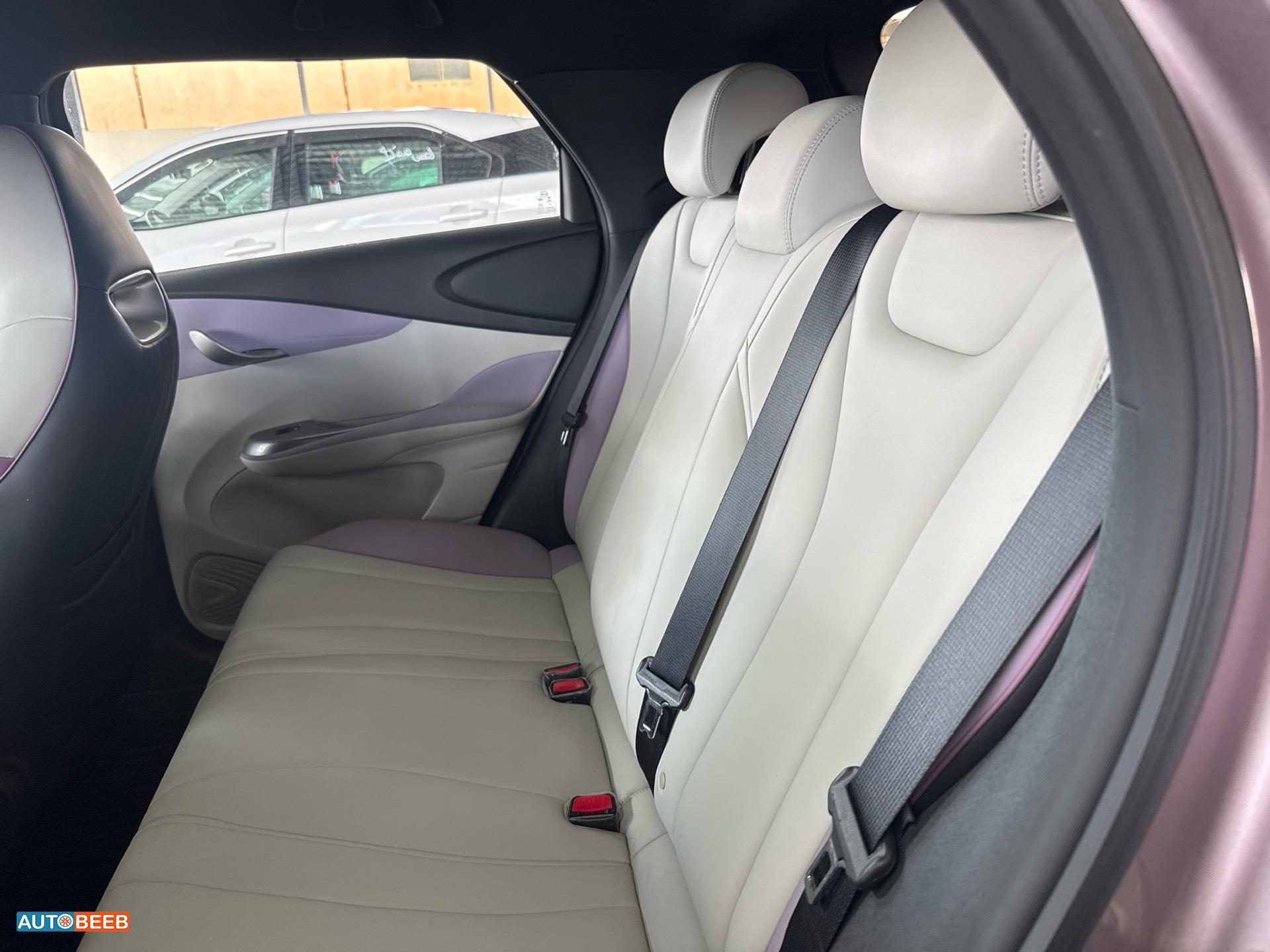 بي واي دي دولفين 2022