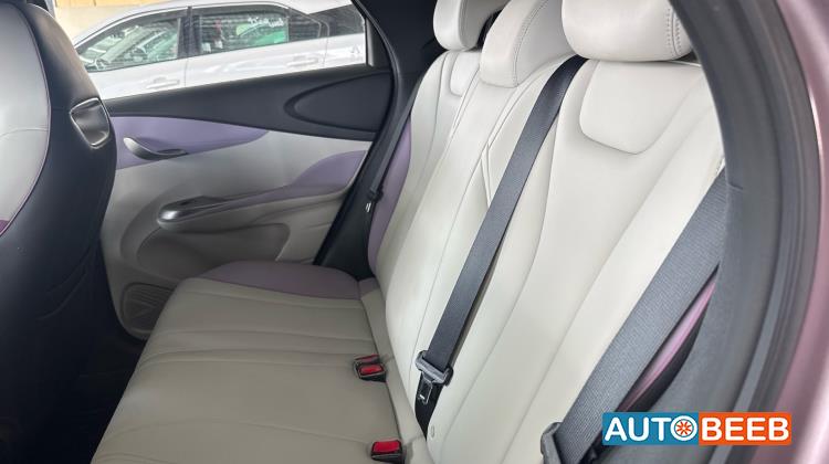 بي واي دي دولفين 2022