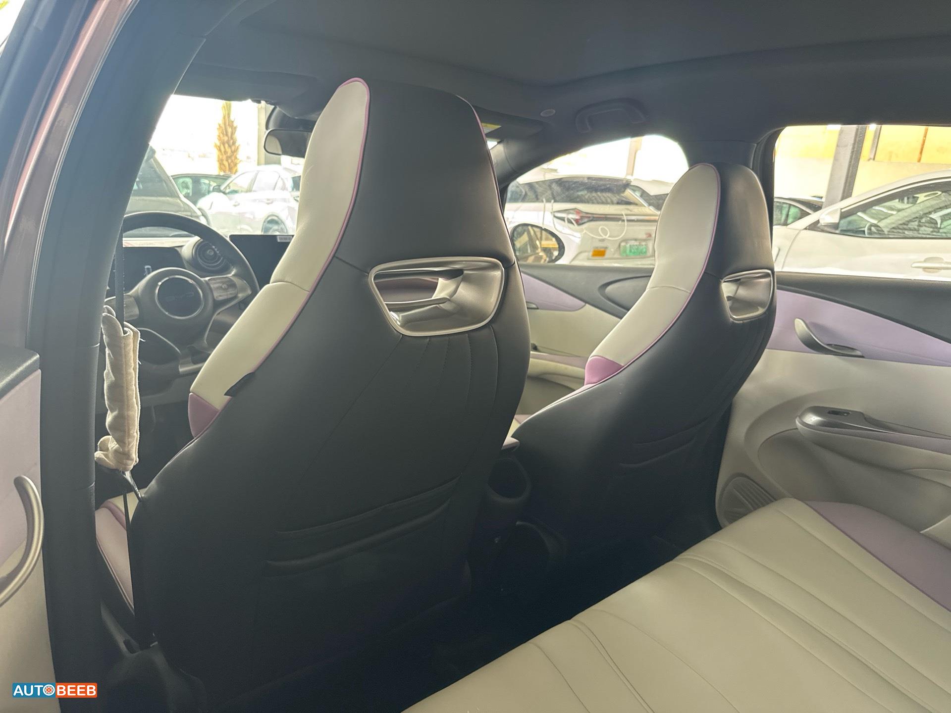 بي واي دي دولفين 2022