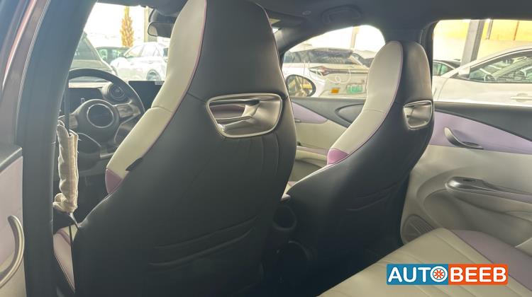 بي واي دي دولفين 2022