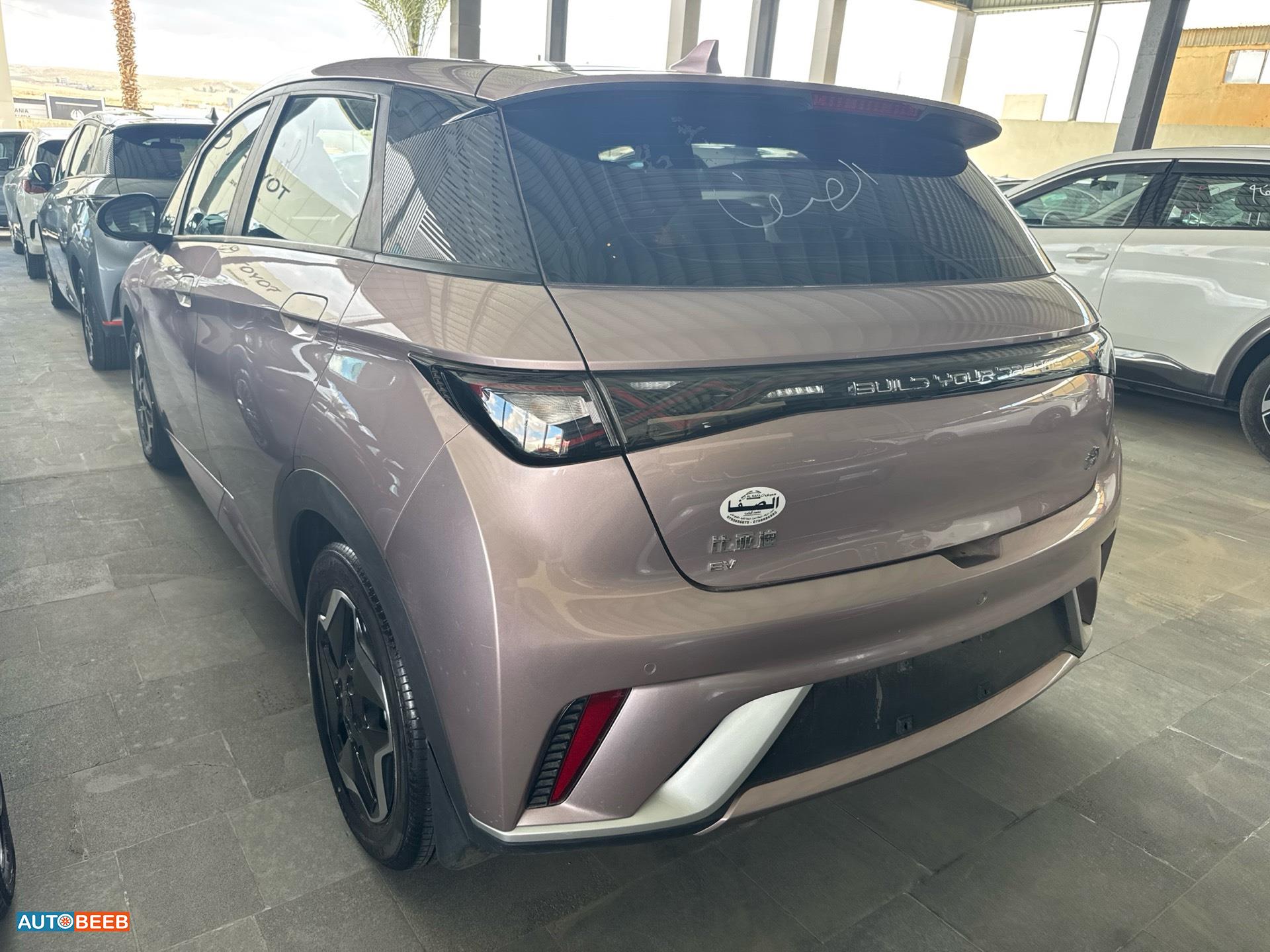 بي واي دي دولفين 2022