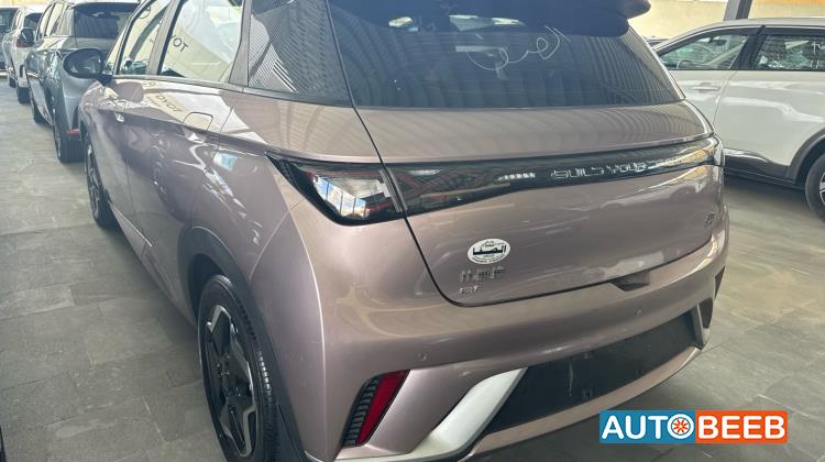 بي واي دي دولفين 2022