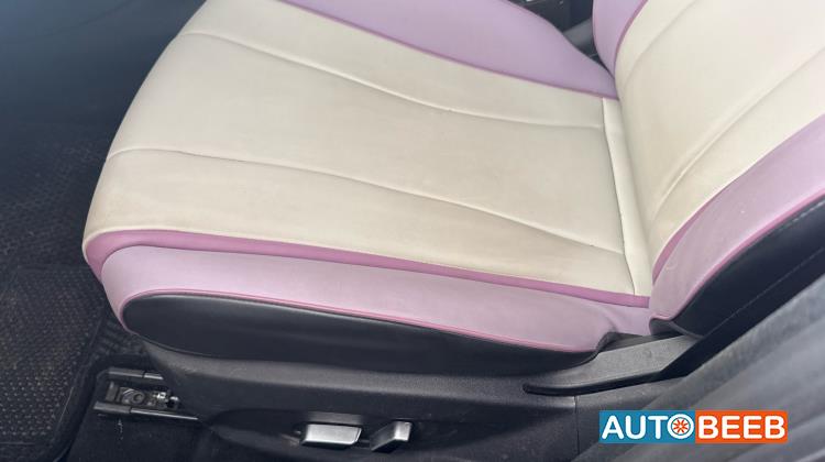 بي واي دي دولفين 2022