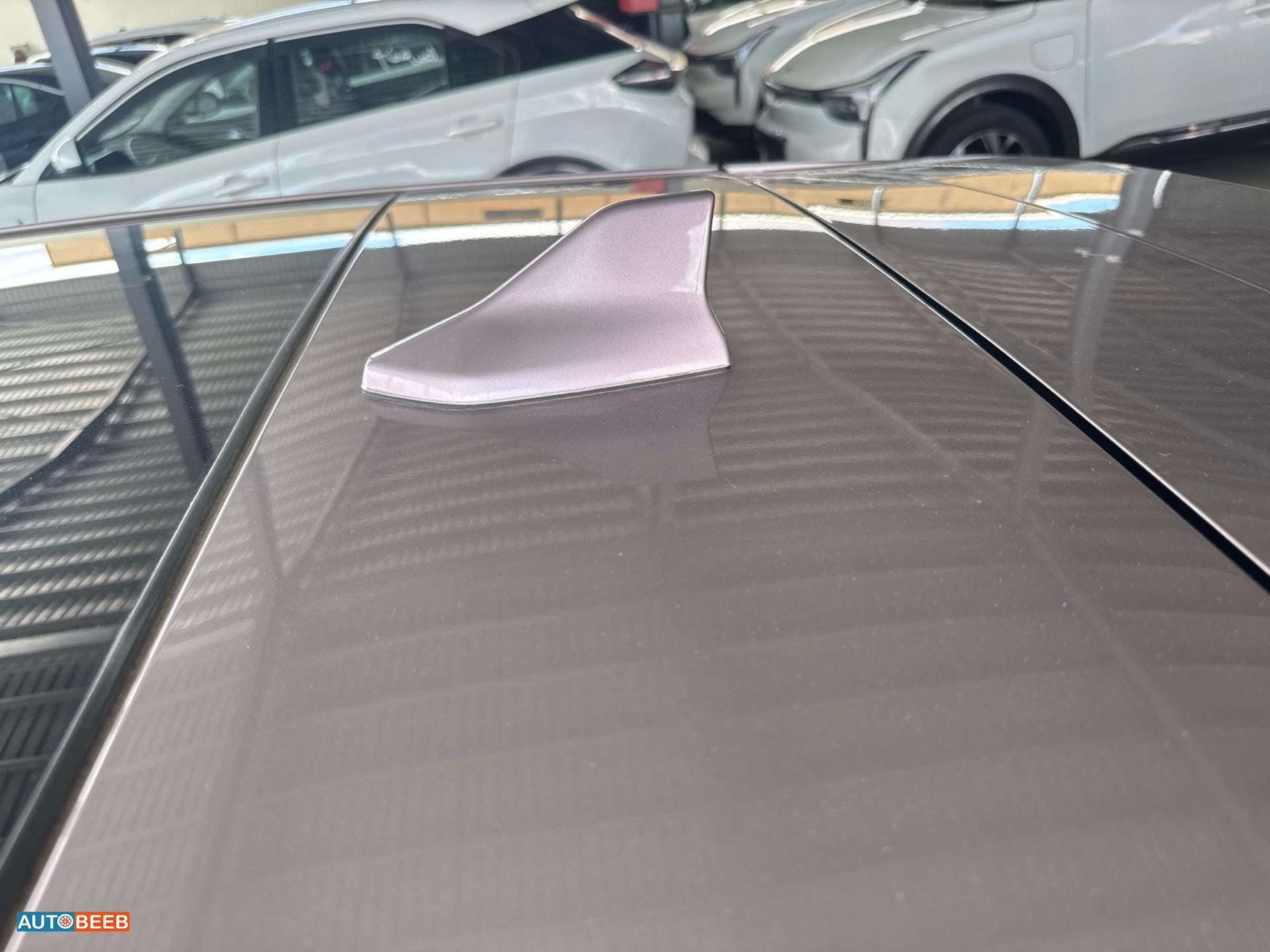 بي واي دي دولفين 2022