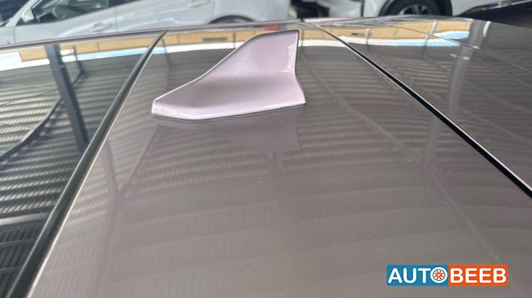 بي واي دي دولفين 2022