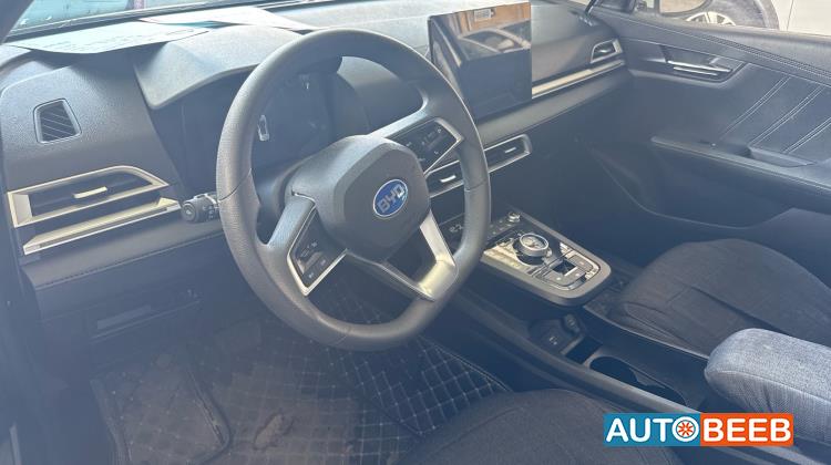 بي واي دي E2 2022