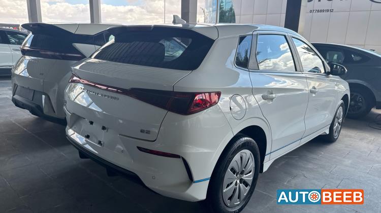 بي واي دي E2 2022