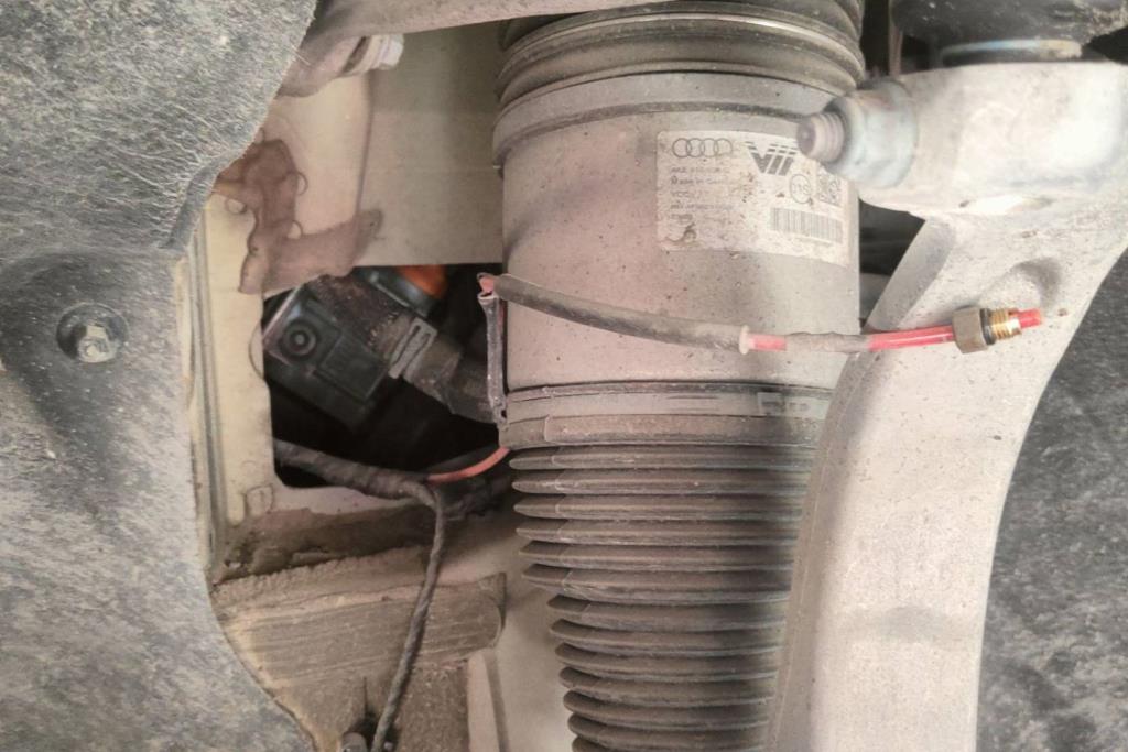 صنوبرص أمامي اودي e ترون 2024