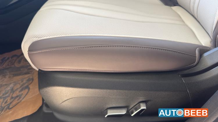 بي واي دي سونج بلس 2025