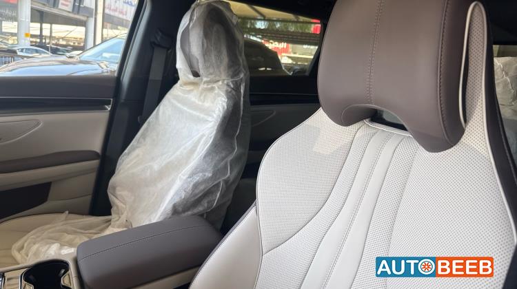 بي واي دي سونج بلس 2025