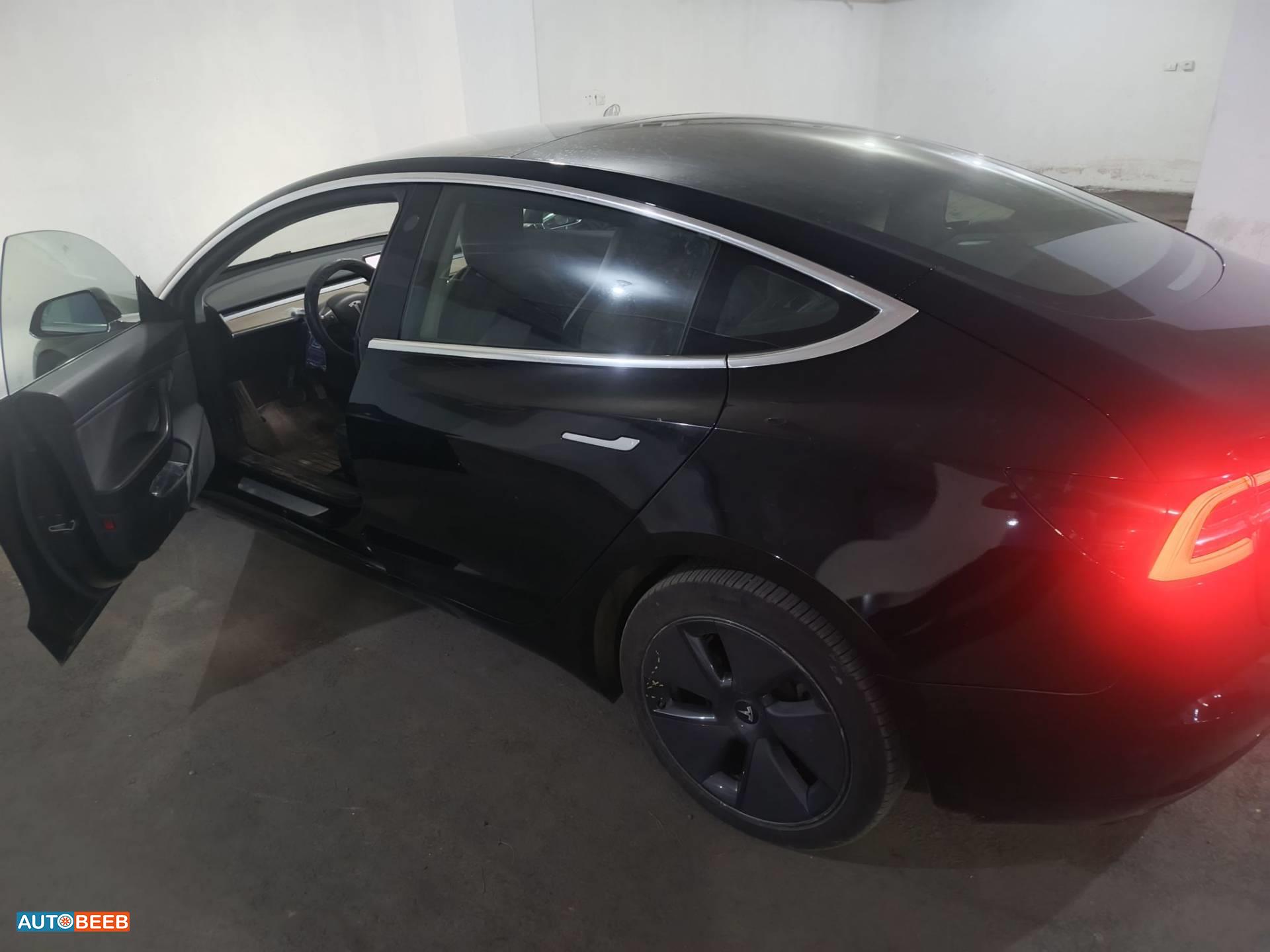 Tesla 3 2019