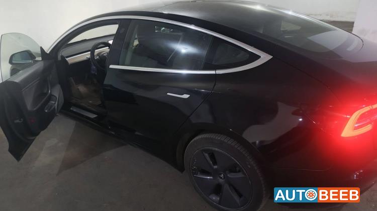 Tesla 3 2019