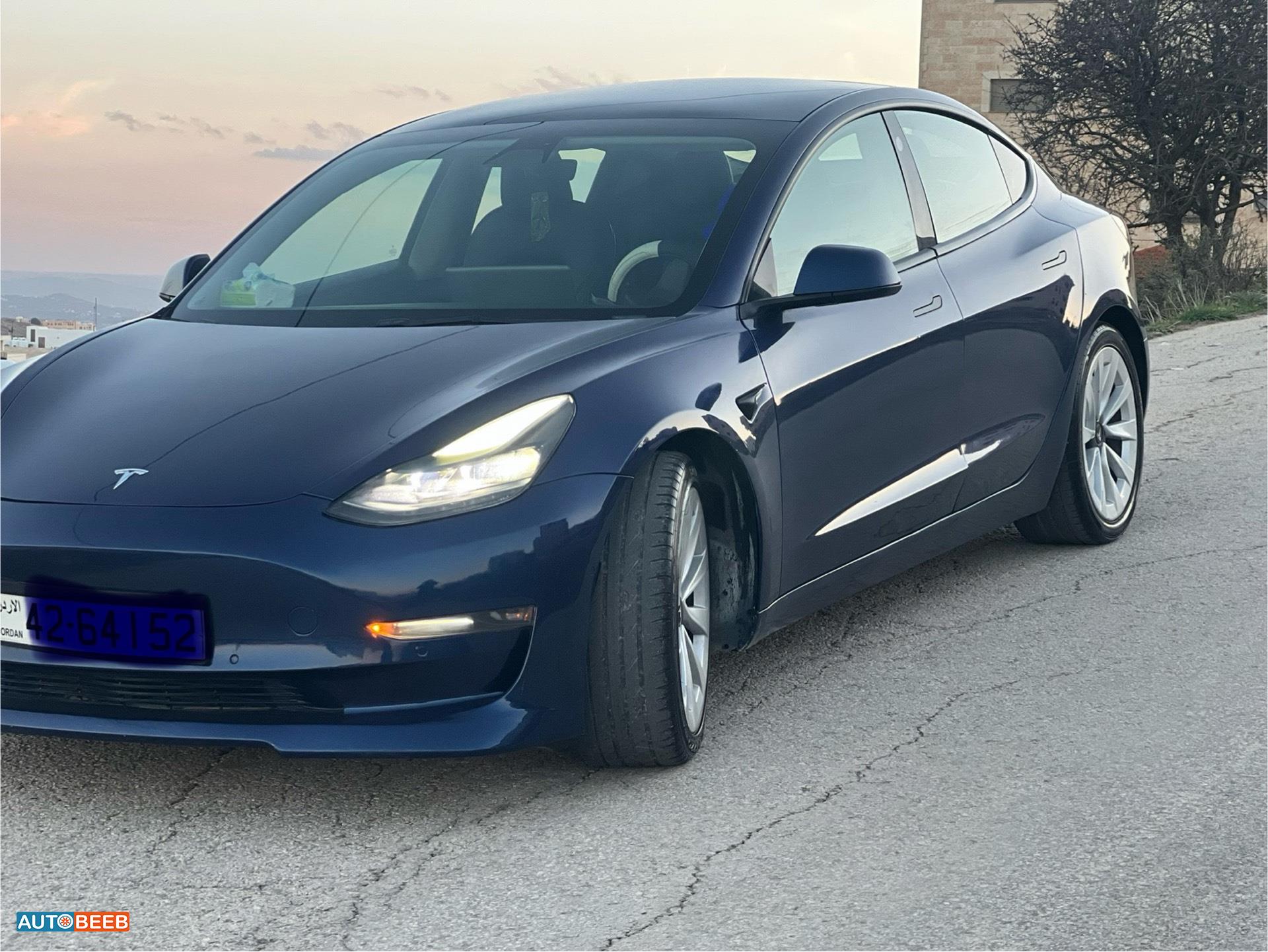 Tesla 3 2022