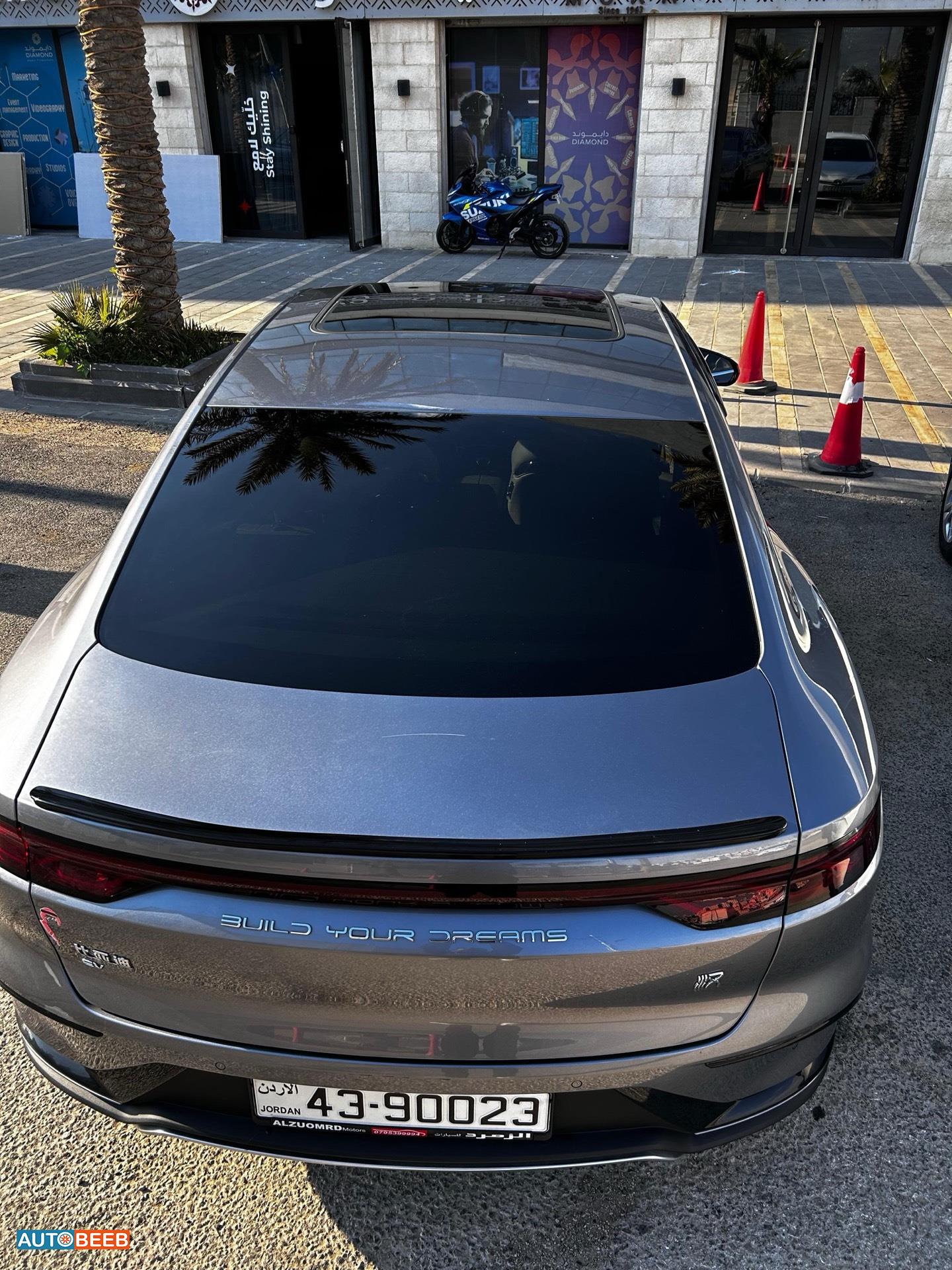 بي واي دي هان 2024