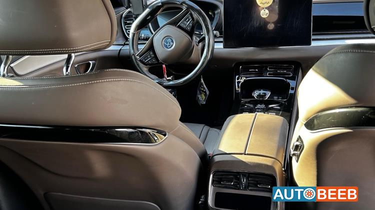 بي واي دي هان 2024