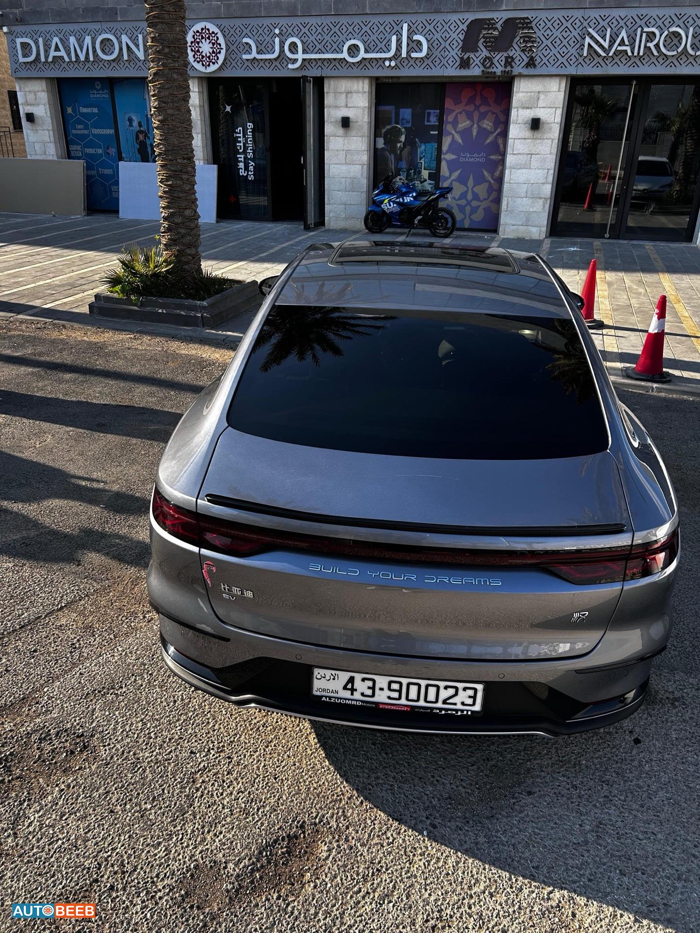 بي واي دي هان 2024