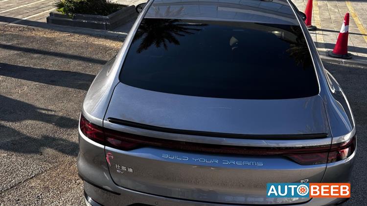 بي واي دي هان 2024