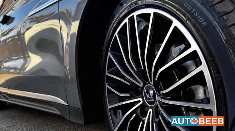 بي واي دي هان 2024