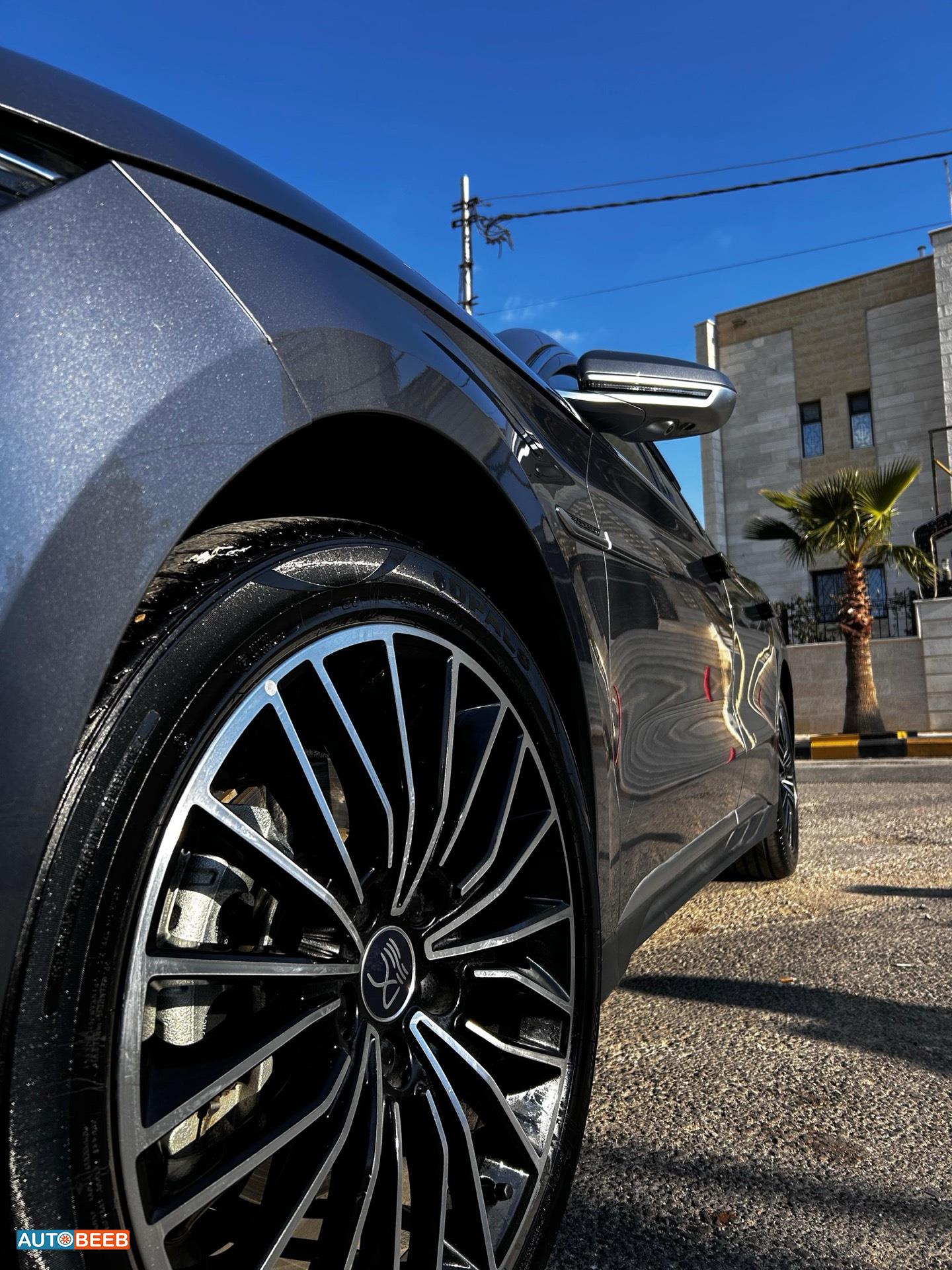 بي واي دي هان 2024