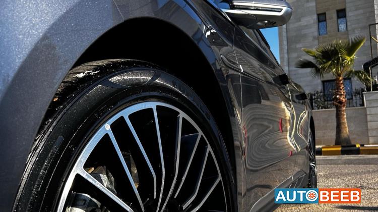 بي واي دي هان 2024