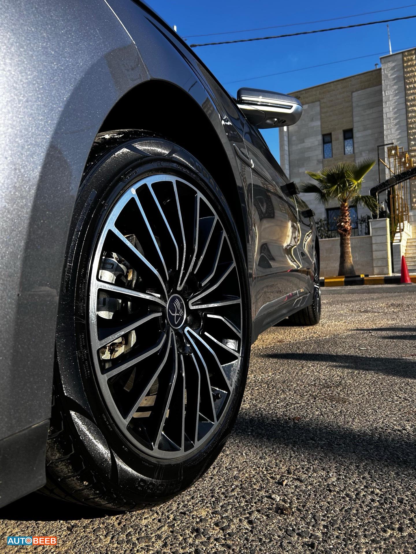 بي واي دي هان 2024