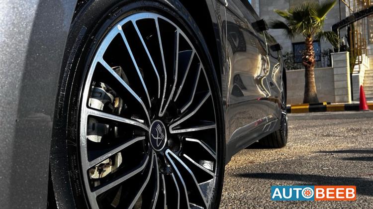 بي واي دي هان 2024