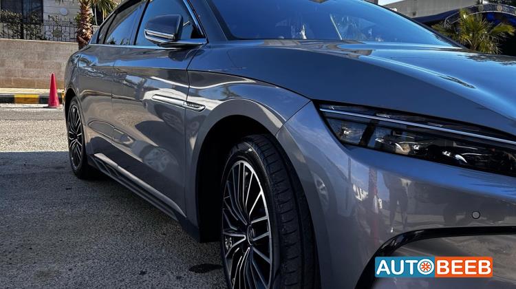 بي واي دي هان 2024