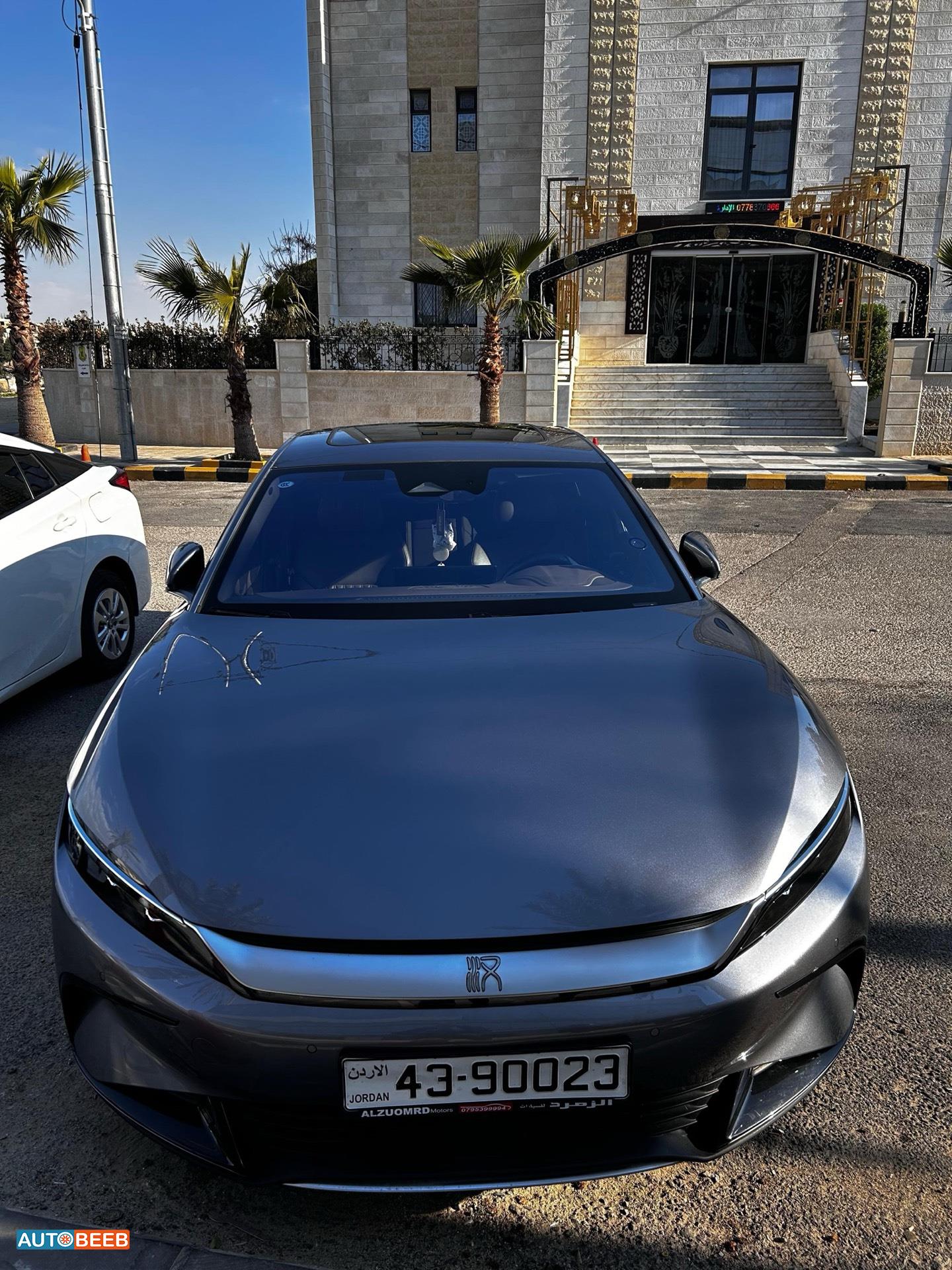 بي واي دي هان 2024