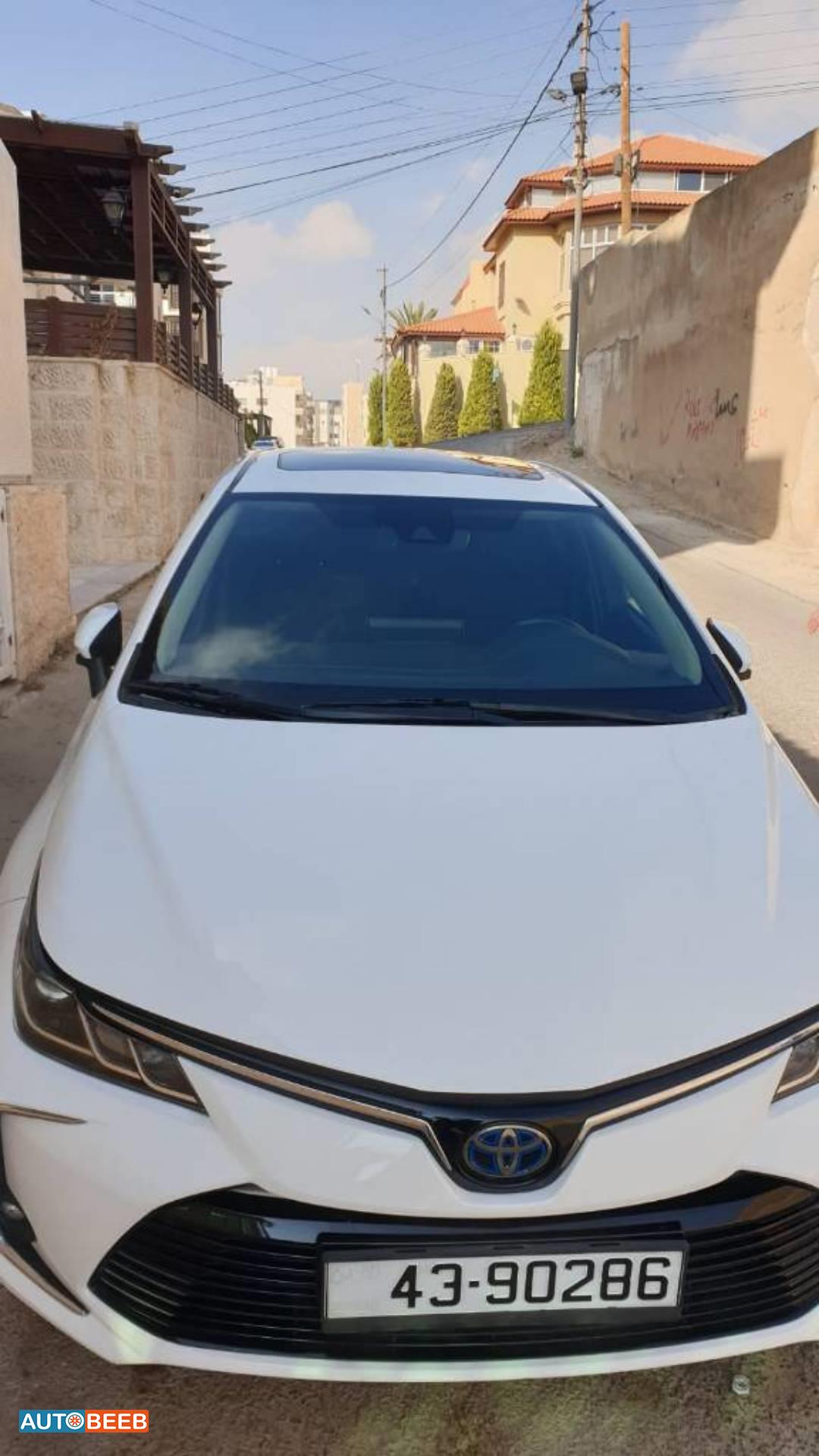 تويوتا كورولا 2019