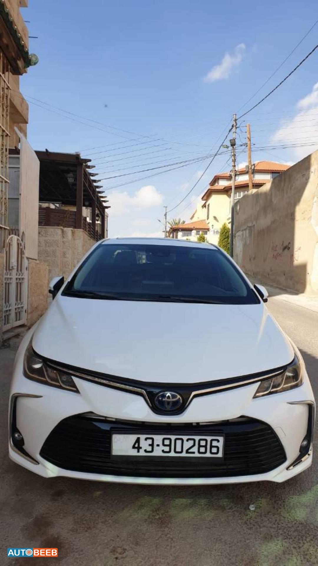 تويوتا كورولا 2019