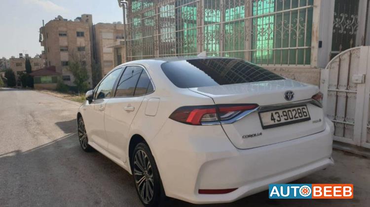 تويوتا كورولا 2019