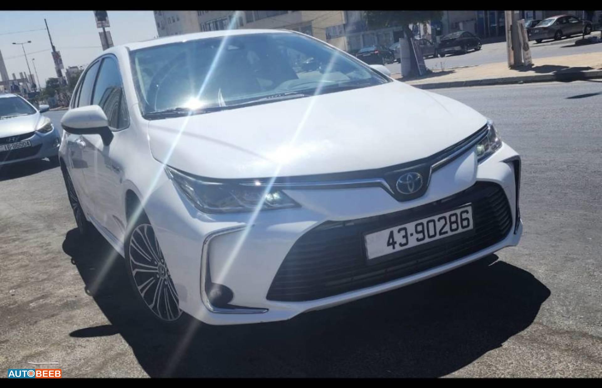 تويوتا كورولا 2019