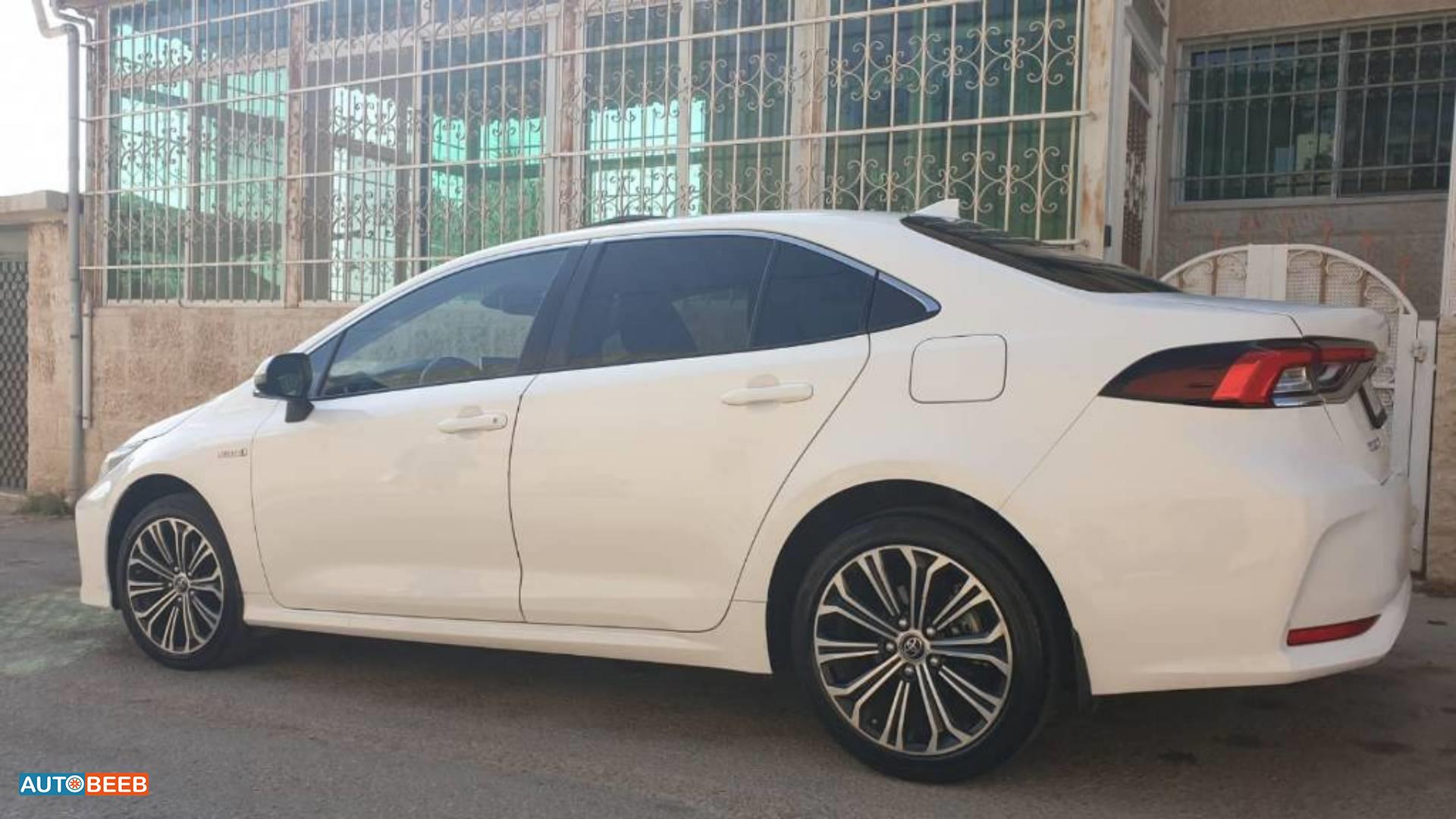 تويوتا كورولا 2019