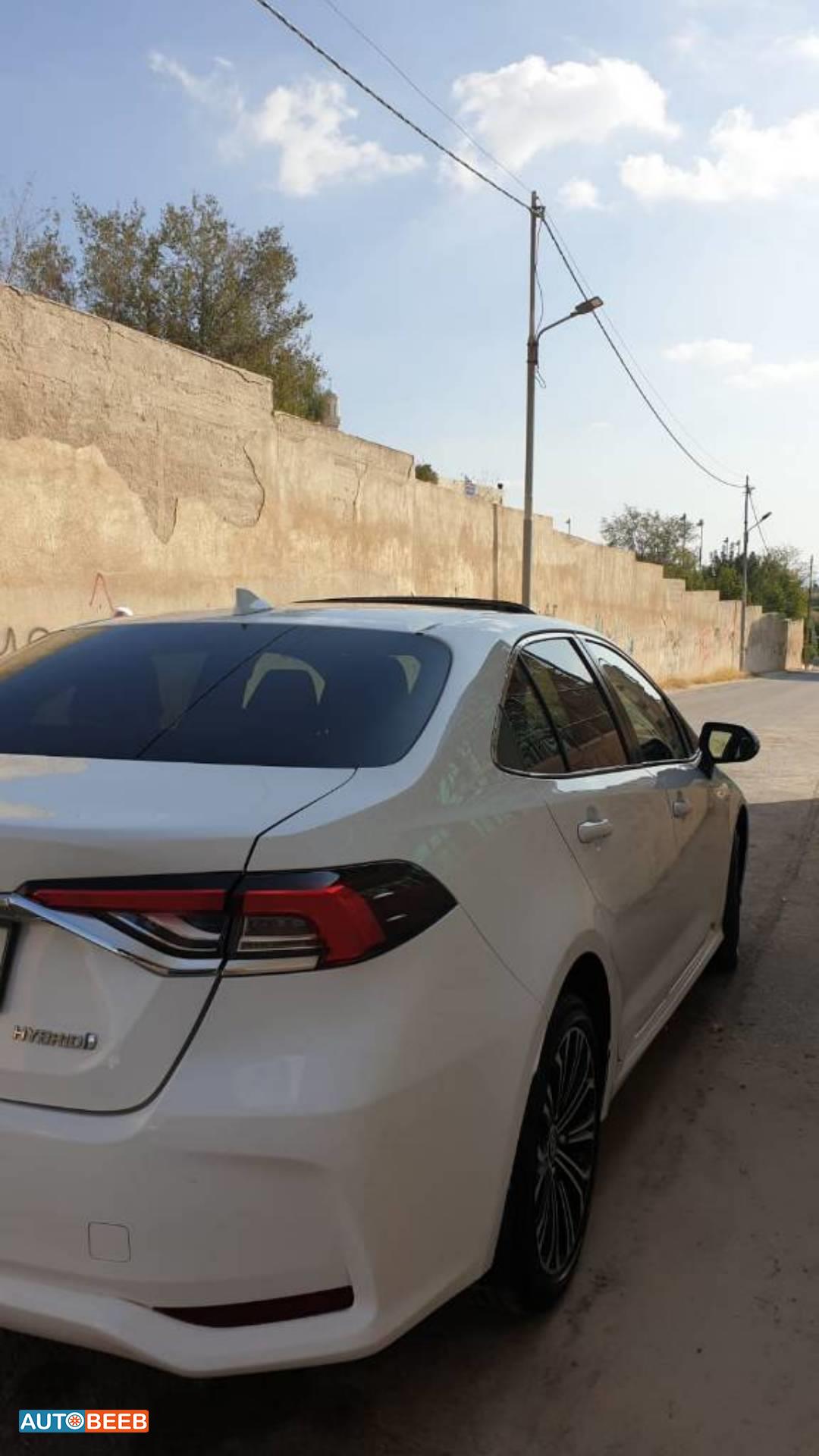 تويوتا كورولا 2019