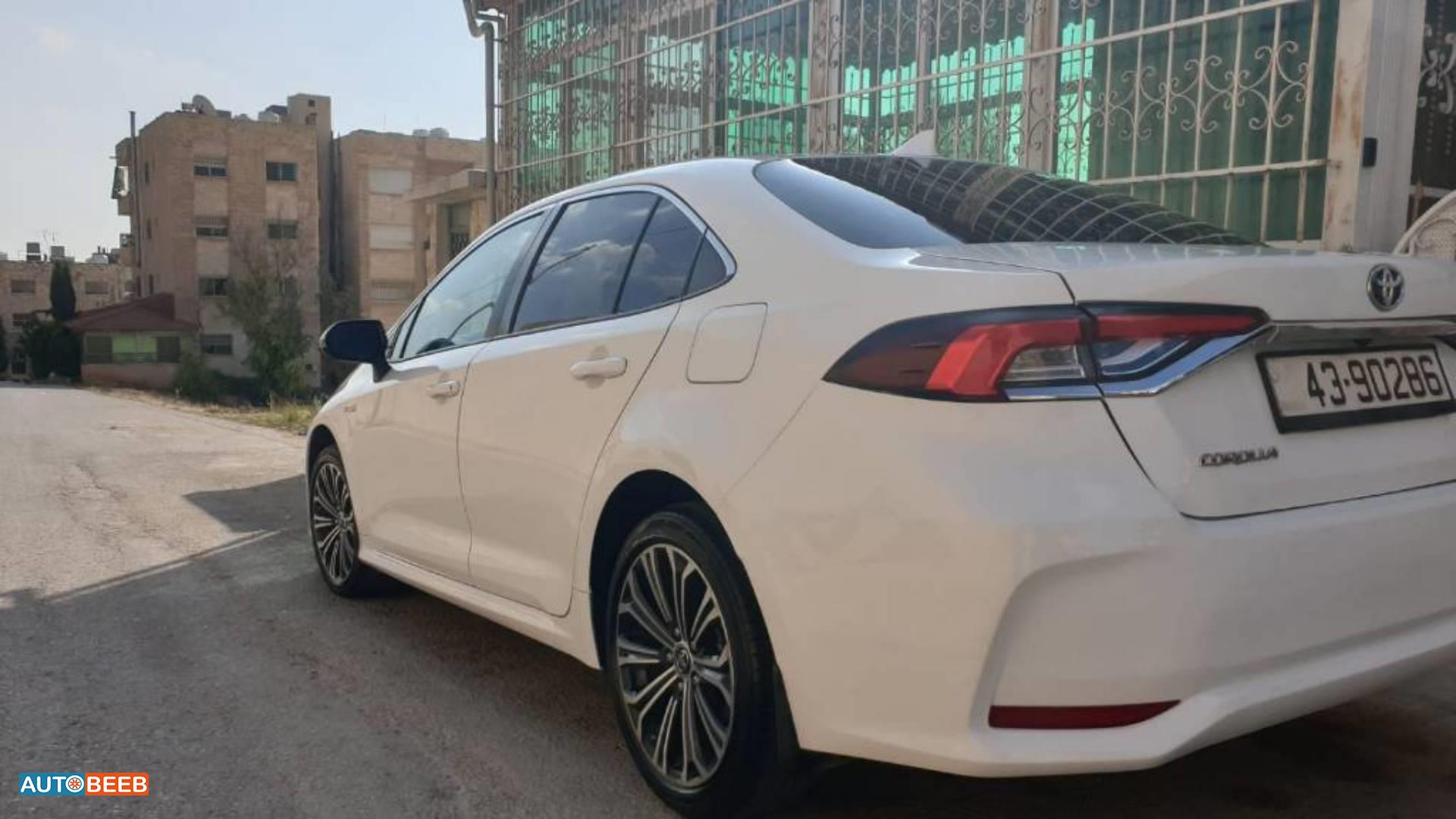 تويوتا كورولا 2019