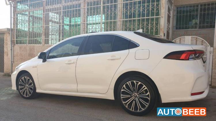 تويوتا كورولا 2019