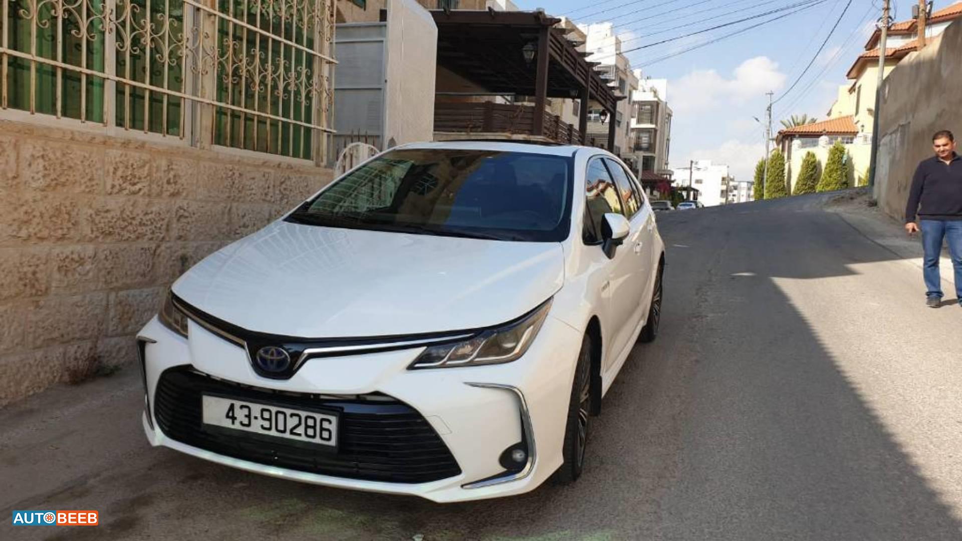 تويوتا كورولا 2019