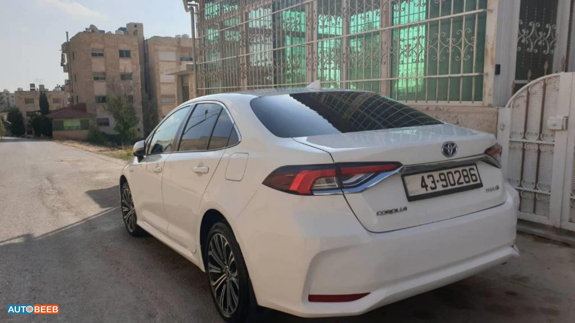 تويوتا كورولا 2019