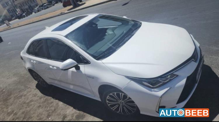 تويوتا كورولا 2019