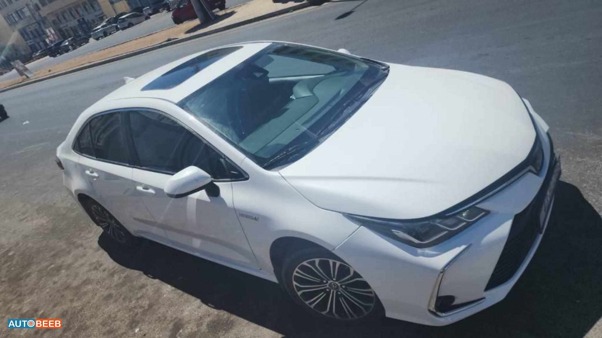 تويوتا كورولا 2019